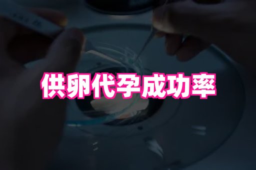 深圳助孕网站 1